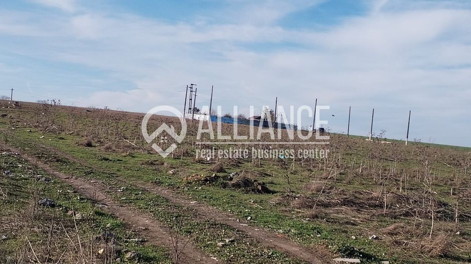 Techirghiol (cod04)-Teren 440 mp ideal investitie constructie casa - Poză 5