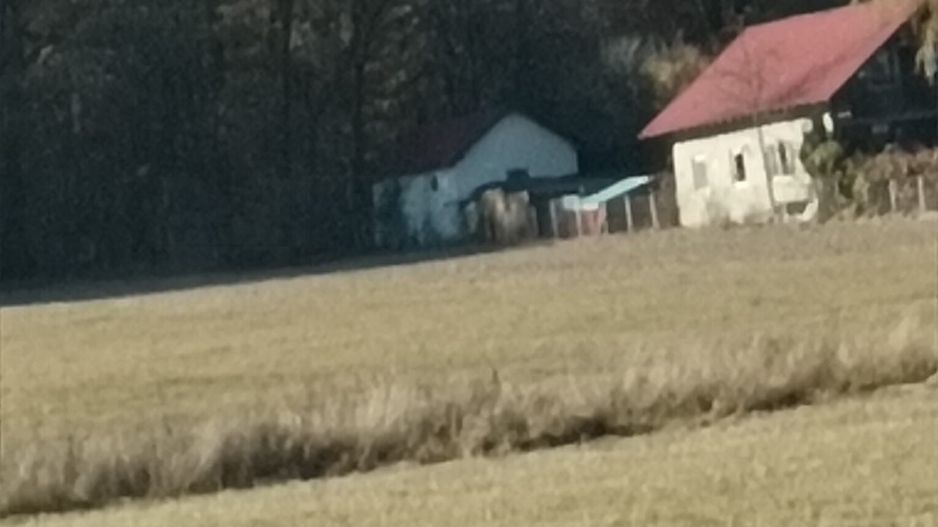 Teren langa Padure Dragomirna 40 Ari ISuceava/Dragomirna I 63.000Euro - Poză 1