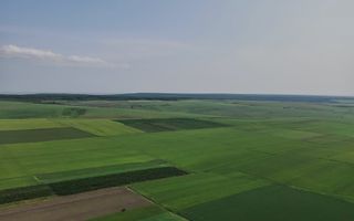 Vînzare, teren agricol, 25,3 ha, s. Peresecina, Orhei. - Poză 9