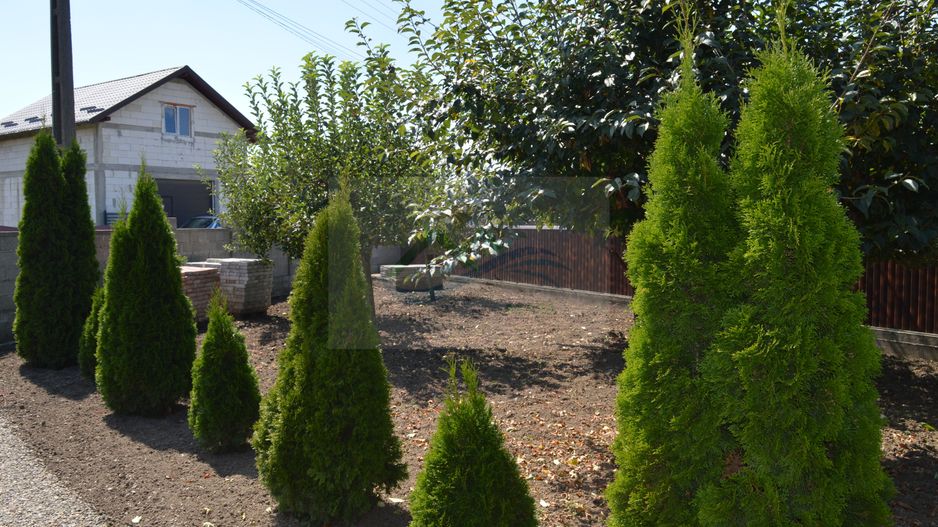 Casă de vânzare Prelipca/Suceava - Poză 5