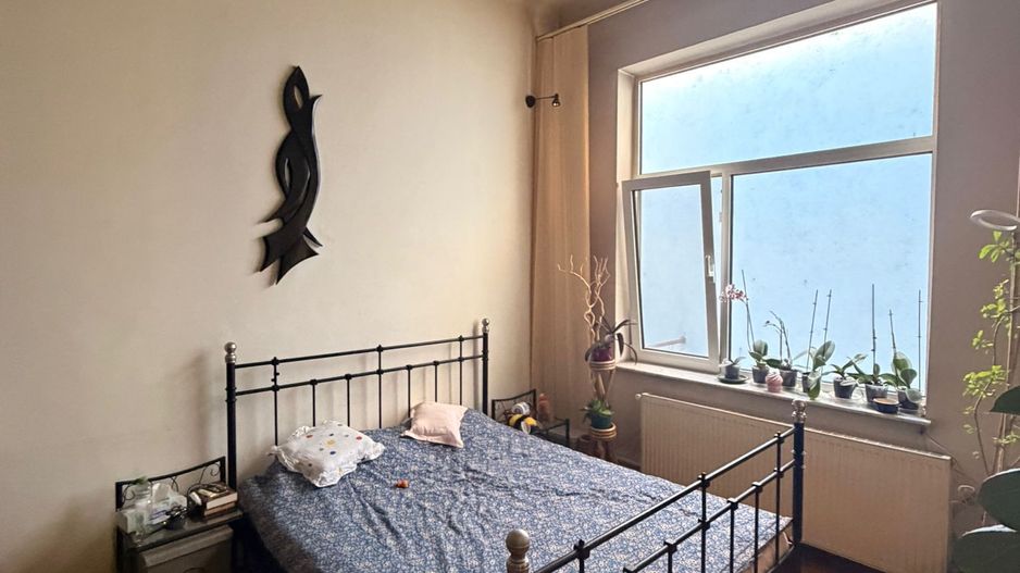 Casa individuală | Strada Plantelor | Curte proprie - Poză 17