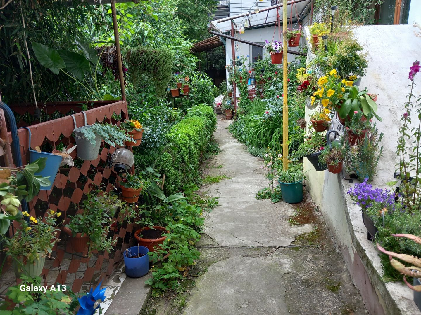 brasadas.com vinde casa 3 cam 135mp zona ULTRACENTRALA. - Poză 1