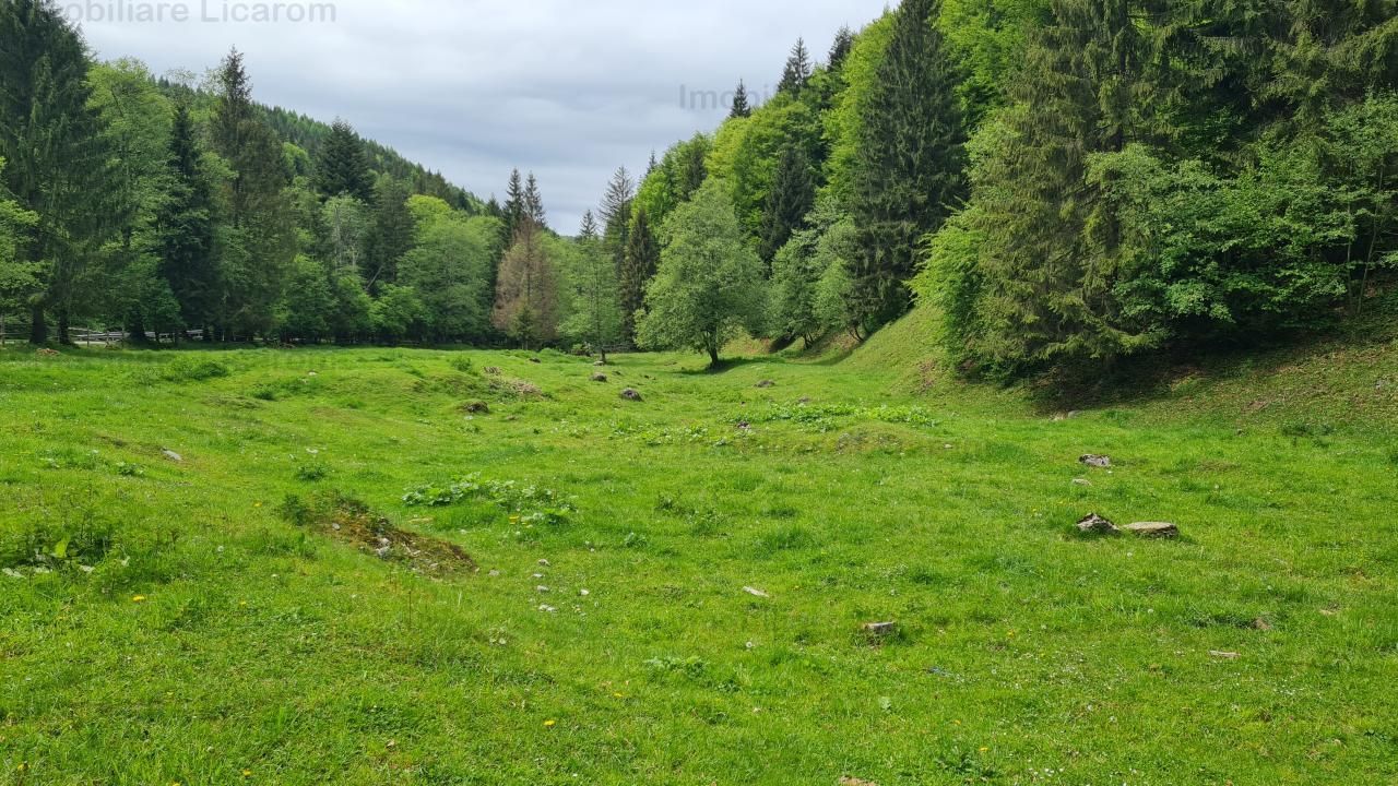 13005 mp teren faneata in Bran Simon cu fornt de 57 mp - Poză 9