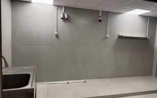 Spatiu Comercial 336 mp - Ultracentral, Piata Victoriei (Investitie) - Poză 3