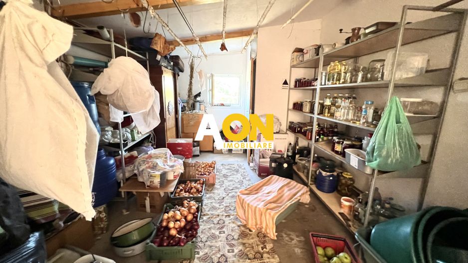 Ferma de vanzare cu 550MP utili si 27.500MP teren la asfalt - Poză 32