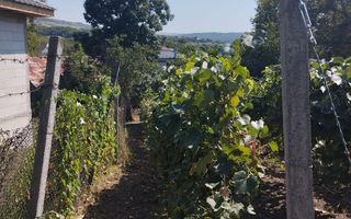 Teren intravilan 2828 mp+autorizatie casa-anexe-livada-Dorolea - Poză 5