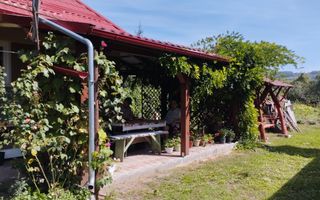 Casă cu teren 21,7 ari în Mitrești – posibilitate achiziție separat - Poză 3