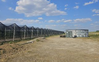 De Vânzare Afacere La Cheie ( ARAD) - Poză 7