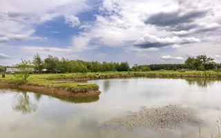 Afacere functionala - MOTEL si CAMPING cu terasa, piscina si lacuri pescuit - Poză 19