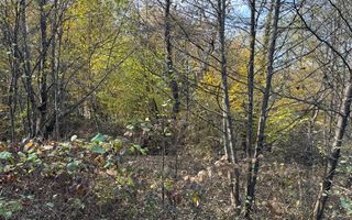 TEREN INTRAVILAN 13167 MP BUGHEA DE SUS ARGES - Poză 33