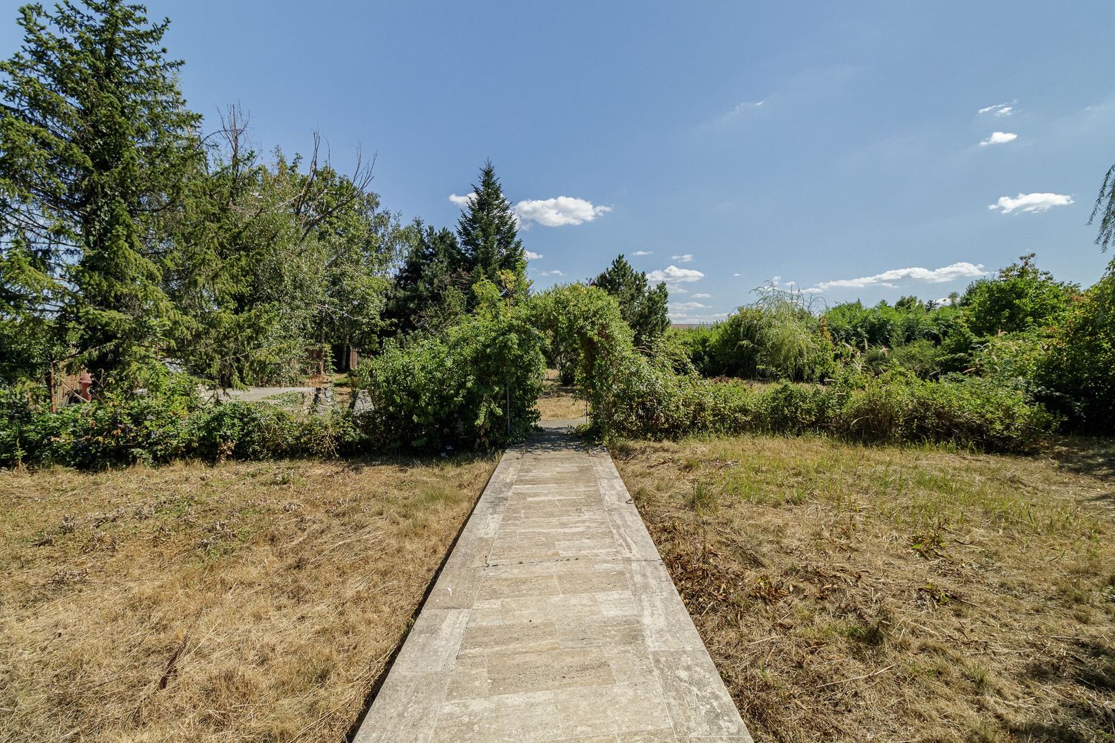 Domeniu privat 5.000 mp, cu reședință de 625 mp și piscină, Corbeanca - Poză 14