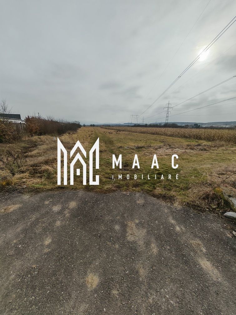 Teren 1.300mp | Extravilan | Mohu - Poză 1