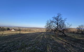 Teren 24.000 mp - Comasat - Utilități - Tocile - Priveliște superbă - Poză 2