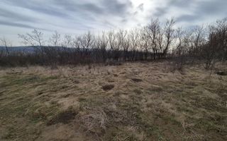 Teren intravilan 493 mp în Ciurea, Iași, vedere panoramică, apă și canalizare, ideal pentru casă - Poză 3