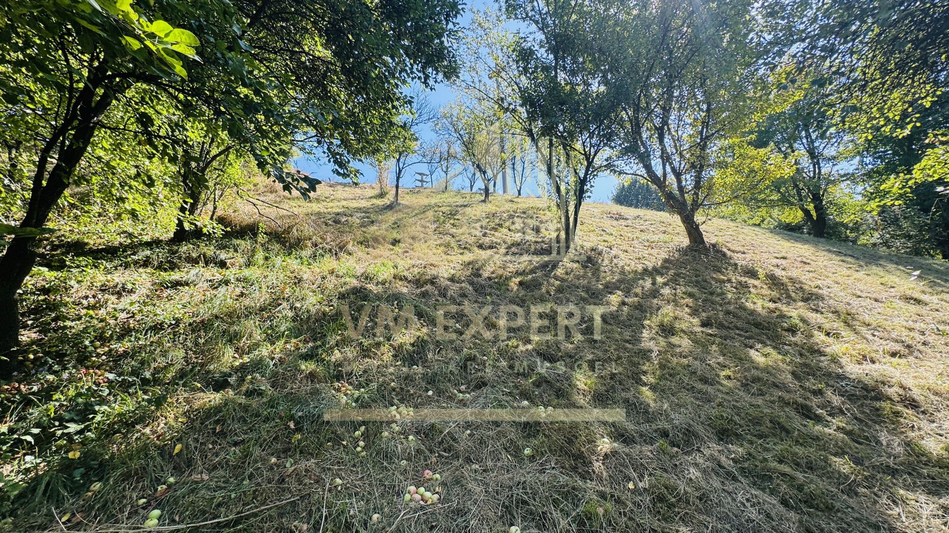 TEREN INTRAVILAN 3234 MP LEREȘTI VOINEȘTI ARGEȘ - Poză 35