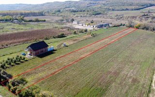 Teren intravilan de vanzare | 3.084mp | Plavia - Urlati | Comision 0% - Poză 1