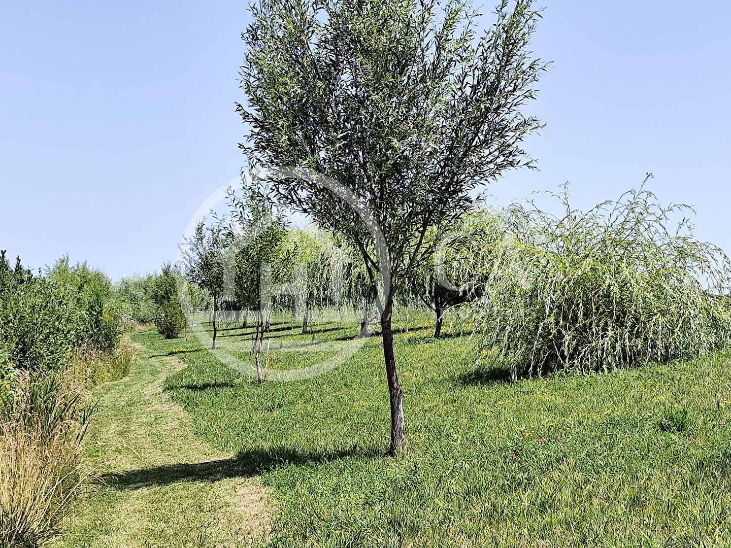 De vanzare BALTA DE PESCUIT, 3,80 ha, cabana din busteni, langa Vama Bors, Bihor - Poză 23