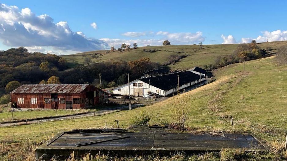 Ferma cu teren de 200 hectare - Poză 7