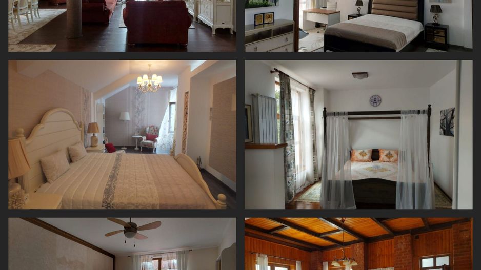 Vila Horezu Romanii de Jos - Poză 4