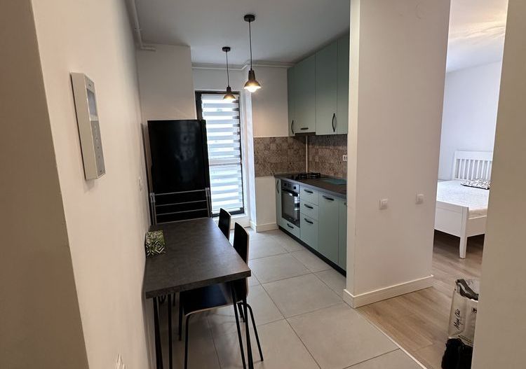 INCHIRERE | STUDIO DUBLU | ONYX PARK PIPERA - Poză 6