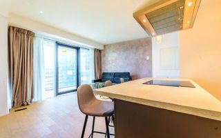 Apartament High End 2 Camere în One Mircea Eliade I View spectaculos - Poză 6