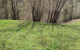 Un colt de rai in Apuseni I viața ca pe vremuri - Poză 7