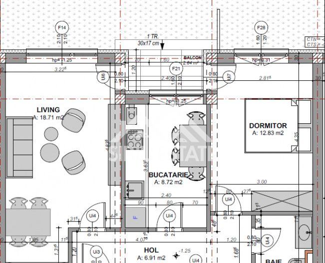 Apartament cu 2 camere și grădină în zona Doamna Stanca - Poză 1