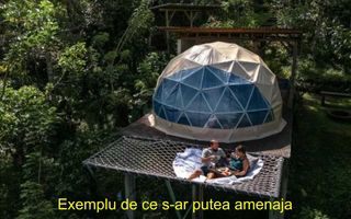 Teren 5+3 ha pentru camping în pădure, 500 m front la râu, 7 km Hârlău, lângă lacul Pârcovaci - Poză 7