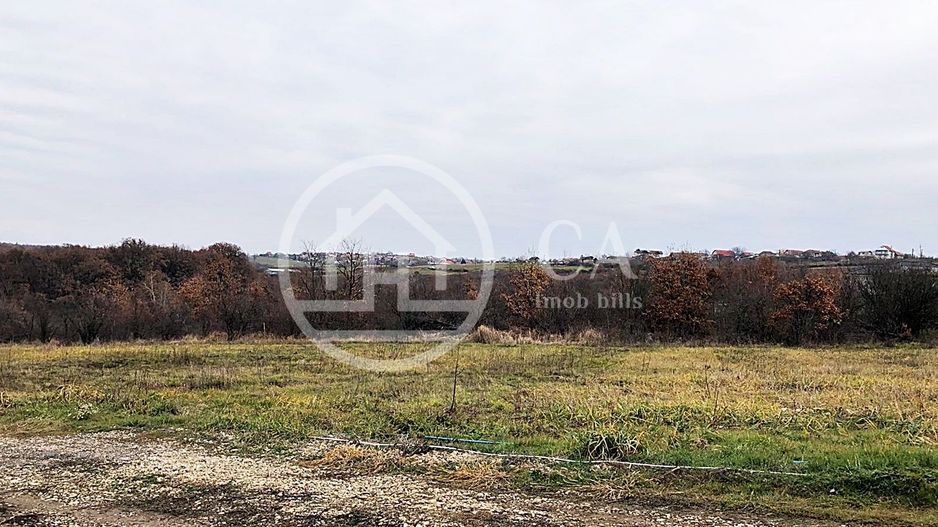 Teren intravilan de vânzare in Saldabagiu de Munte, Oradea - Poză 3