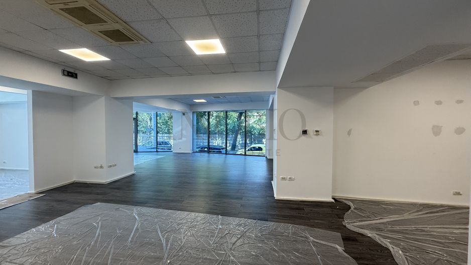 Spațiu comercial premium / Băneasa Offices / Parc Herăstrău - Poză 1