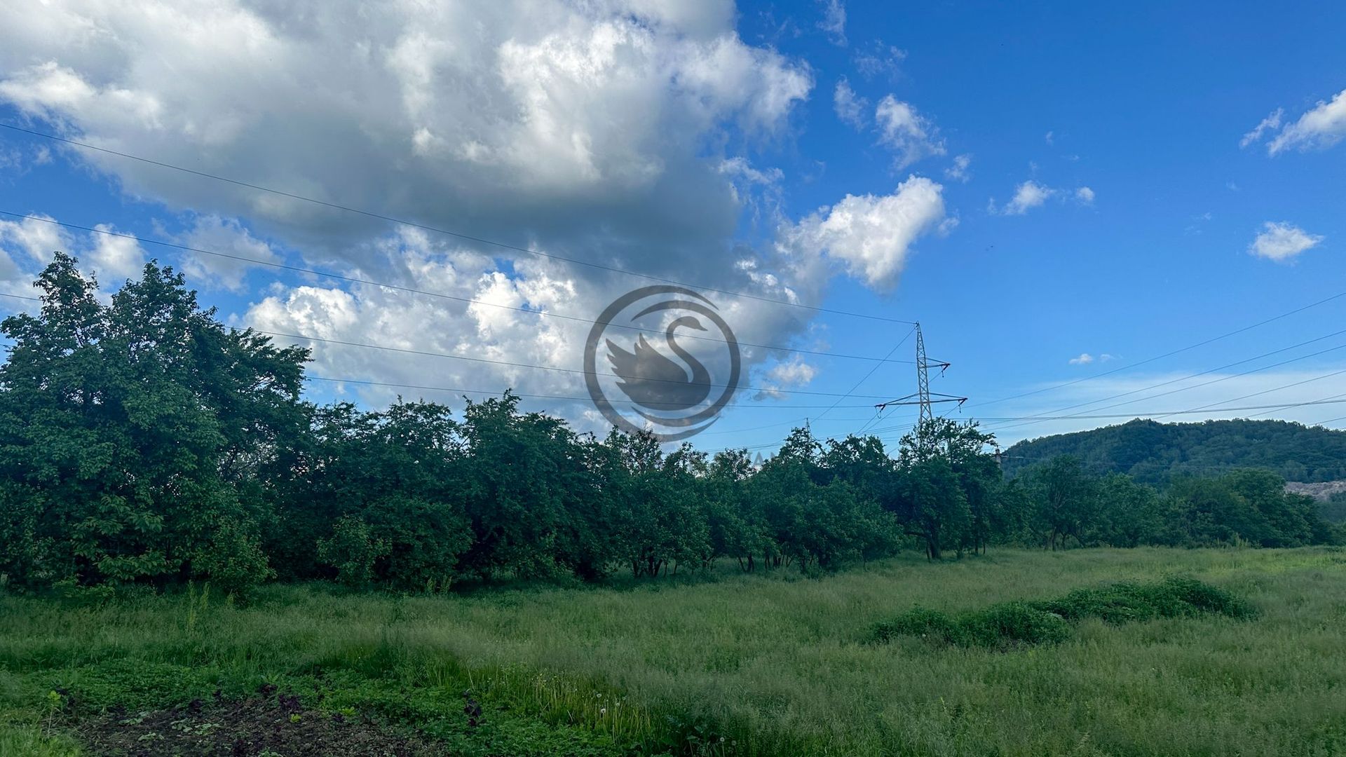 Teren de vanzare | 3.600mp | Valeni de Munte, Prahova | Comision 0% - Poză 3