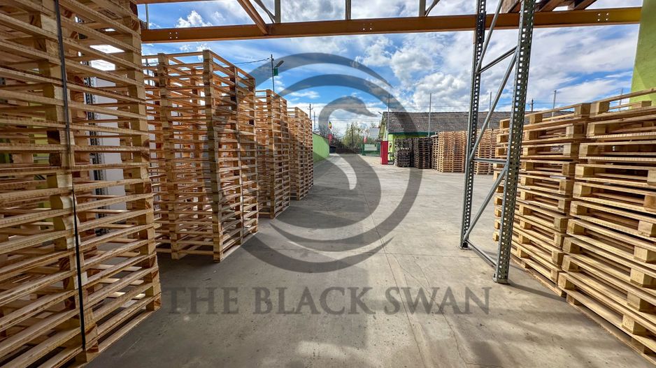 Spațiu/Hala de inchiriat | 800 mpu | Magurele - Prahova | Comision 0% - Poză 15