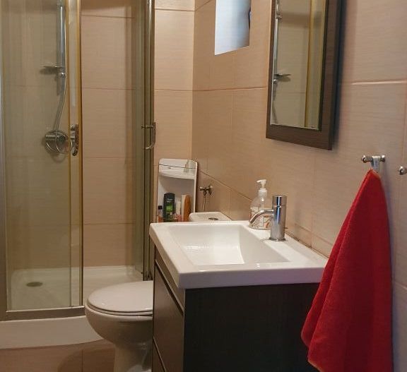 Vanzare vila 5 camere | Langa padure | Bucuresti | Baneasa - Poză 11