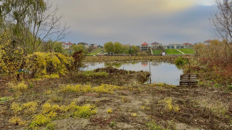 Teren Intravilan | Deschidere Lac Snagov | Ponton | Curatat | Toate utilitatile - Poză 3