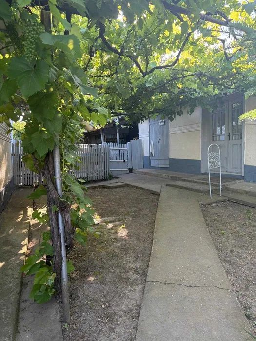 Gospodarie traditionala in localitatea MÎNJEȘTI, la 10 km de Vaslui; - Poză 15