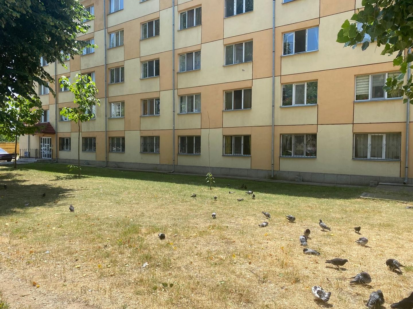 Oportunitate rară de investiție! Bloc cu 100 de garsoniere –Târgoviște - Poză 3