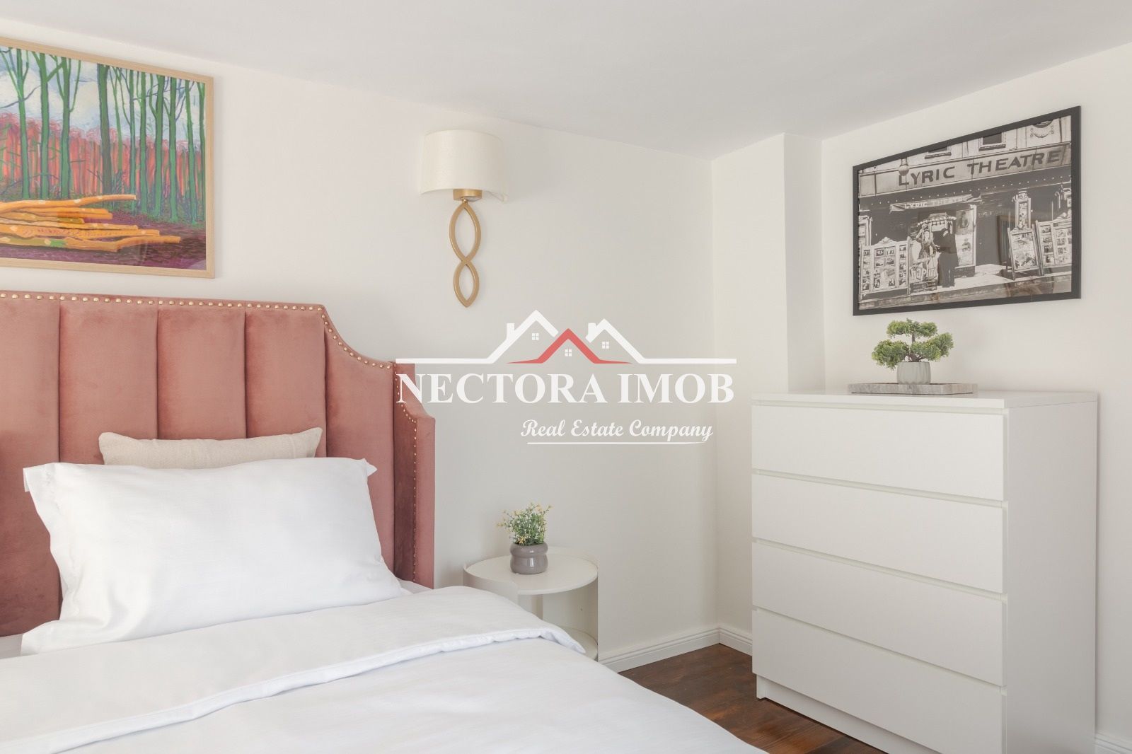 NECTORA IMOB-Casa Ultracentrala Teatru/Piata Unirii, Mobilata/Utilata - Poză 14