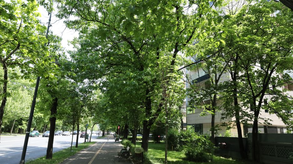 De Gaulle residence, Arcul de Triumf \ De Gaulle residence, - Poză 6