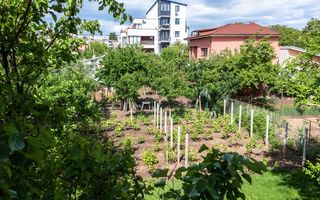 Casa P+1 + teren - posibilitate dezvoltare imobiliara I Drumul Taberei - Poză 5