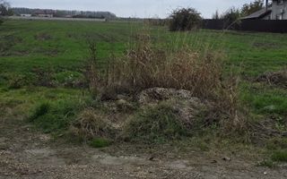 1 DECEMBRIE - TEREN 2500 MP - Poză 3