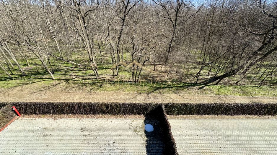 Apartament cu 4 camere *183mp* - Prima Inchiriere // Stejarii - Baneasa - Poză 9