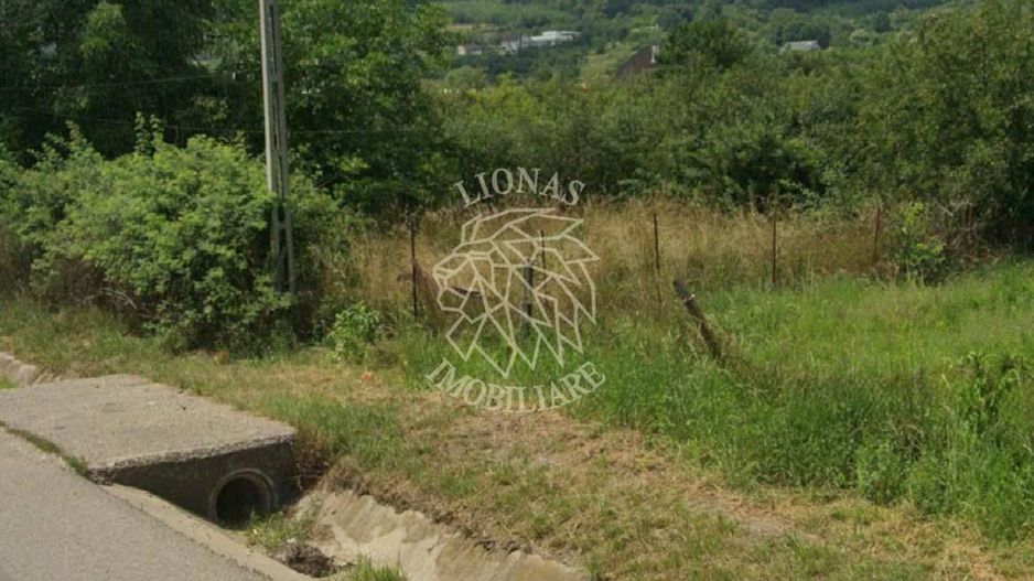 Teren intravilan 3400 mp-deschidere la DN17-Viisoara - Poză 1