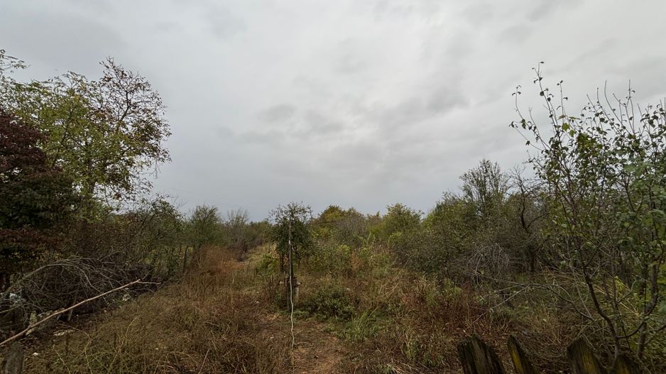 Casă + Teren 1.245 mp aproape de București (Ologeni, Prahova) - Poză 8