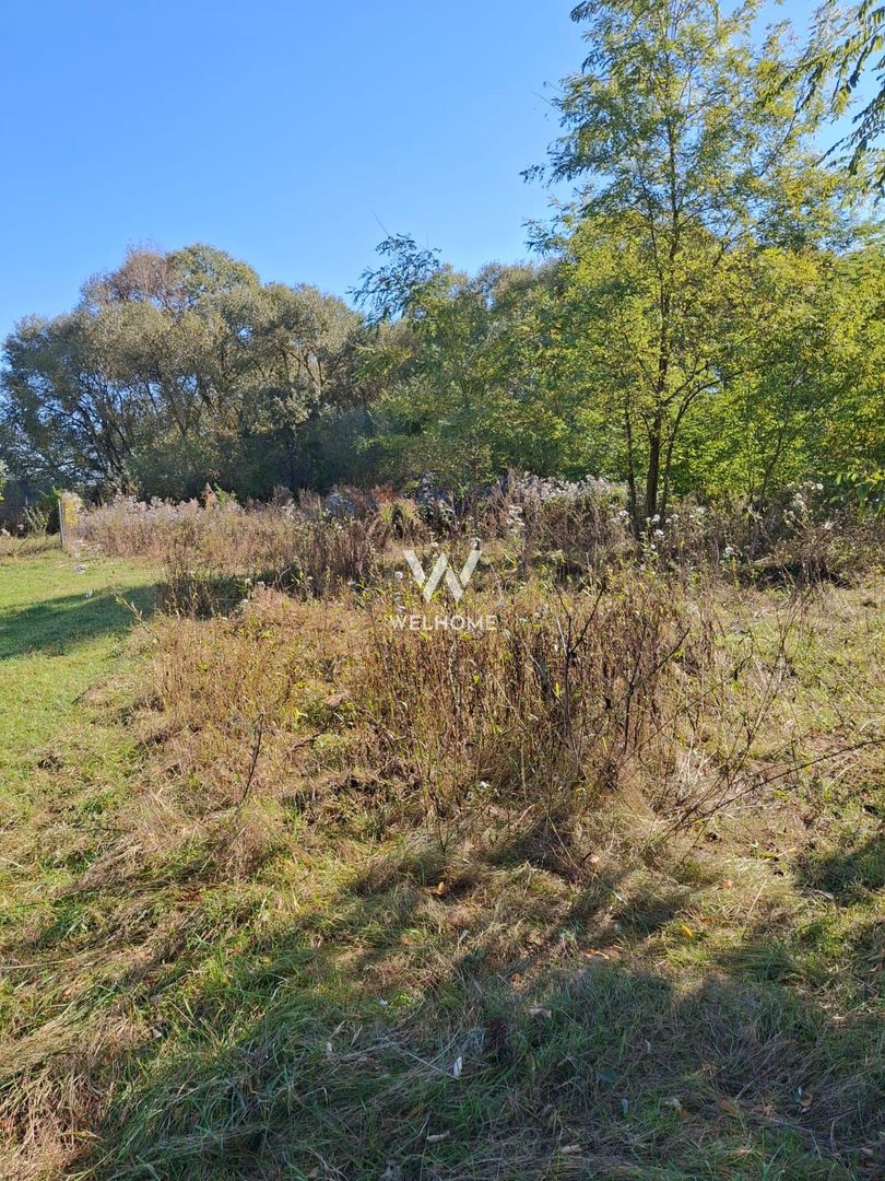 Teren de vanzare Daia Noua - Poză 2