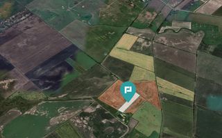 Teren extravilan de 28900 mp în Variașul Mare - Poză 5