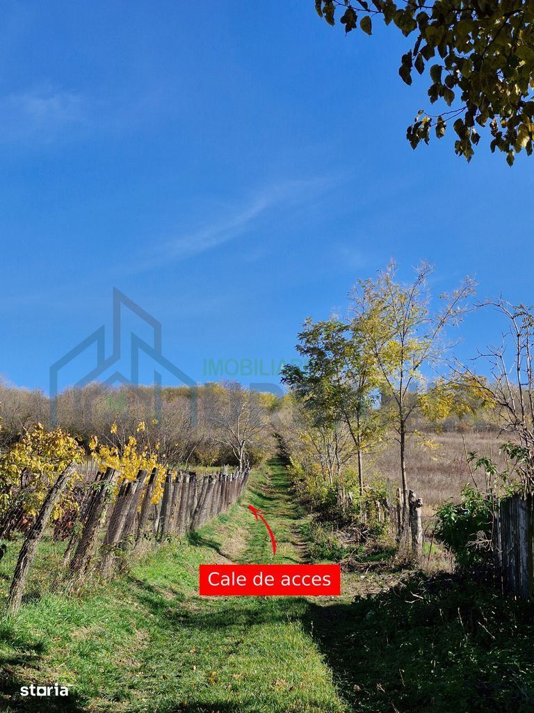 Teren intravilan 1308 mp Rediu | 9 min Copou / Pacurari - Poză 6