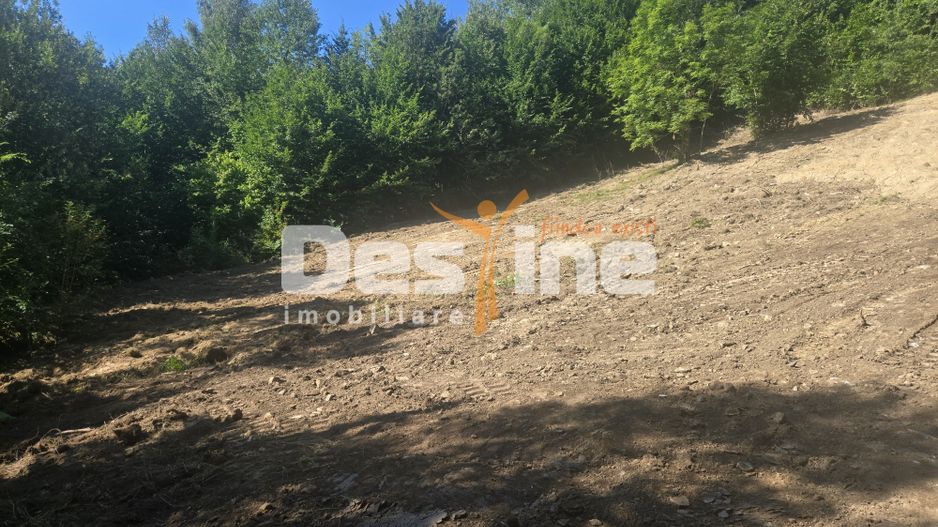 Teren Valea Doftanei,  zona Pe Vale - Baraj Paltinu - Poză 3