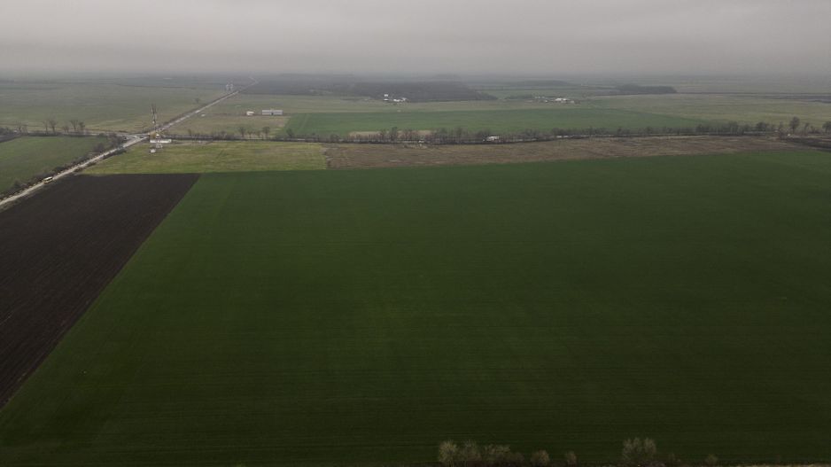 Teren 84000 mp la 20 km de Arad, la DN79 - Poză 2