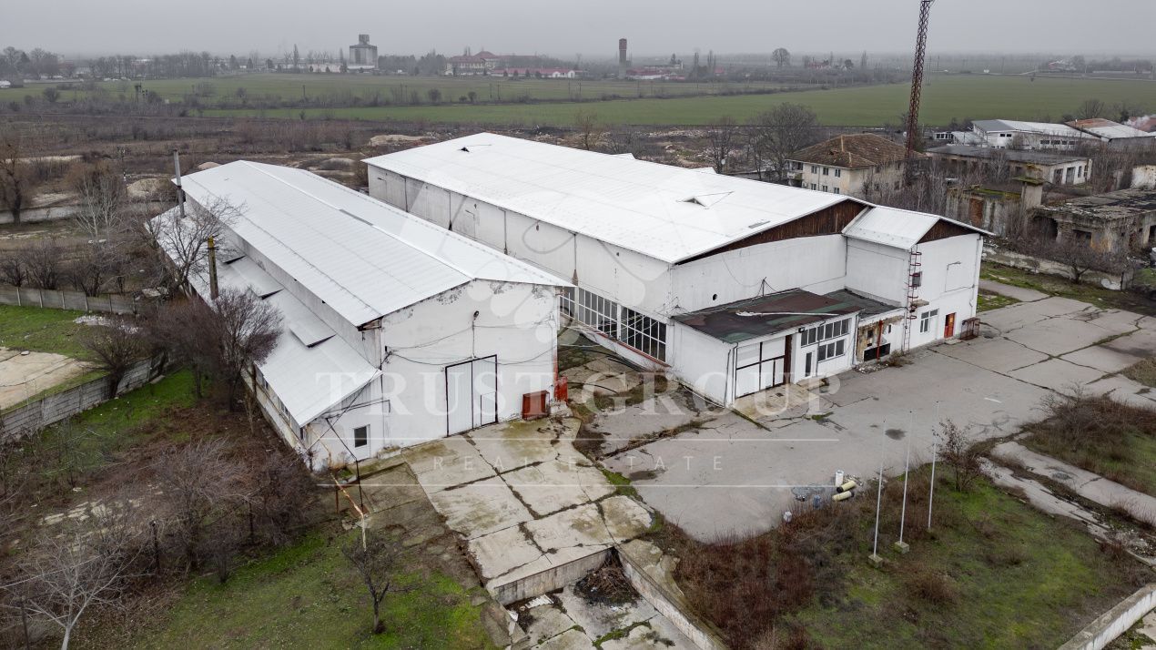 Teren 28.788m + Hale industriale + Sediu Firma - Poză 12