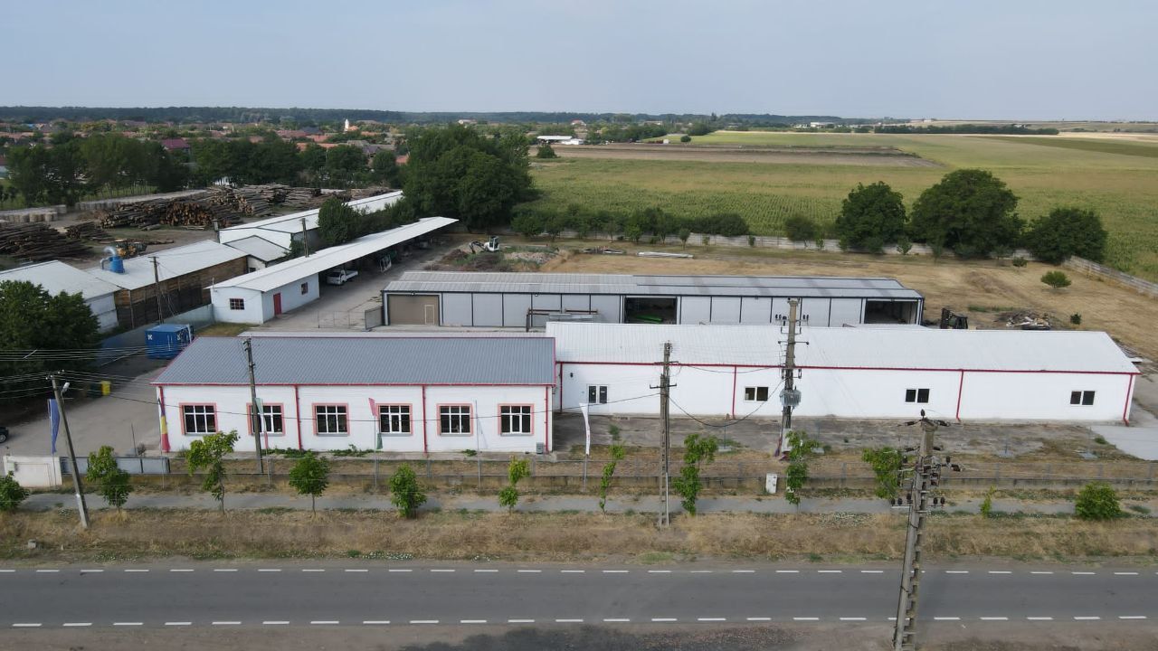 Hale depozitare/producție 2.000 mp si 10.000 mp teren în Pecica - Poză 1